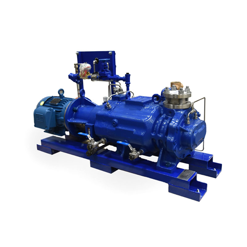 Dry Screw Vacuum Pumps များ